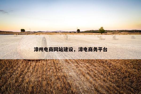 漳州电商网站建设，漳电商务平台