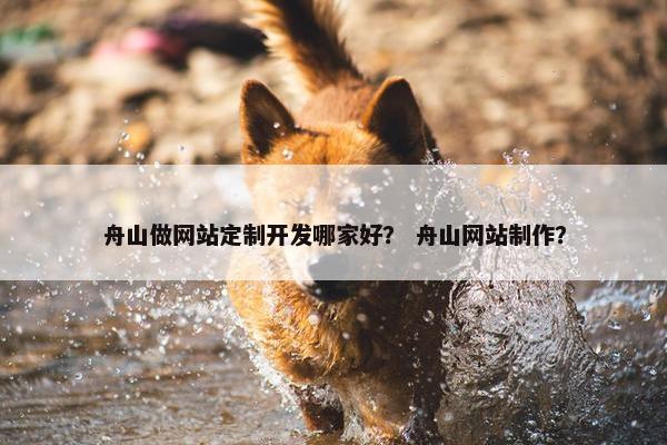 舟山做网站定制开发哪家好？ 舟山网站制作？