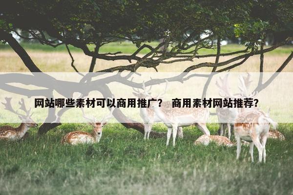 网站哪些素材可以商用推广？ 商用素材网站推荐？