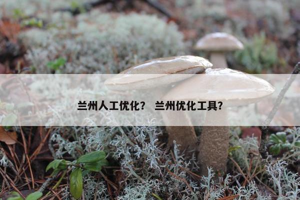 兰州人工优化？ 兰州优化工具？