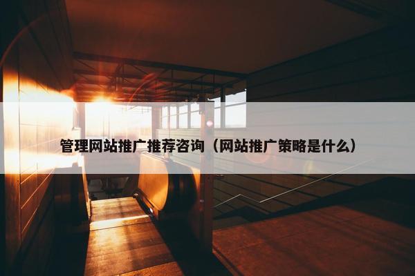 管理网站推广推荐咨询（网站推广策略是什么）