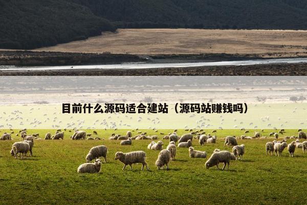 目前什么源码适合建站（源码站赚钱吗）