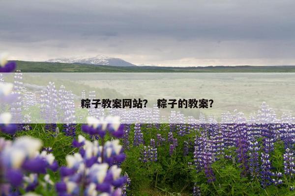 粽子教案网站？ 粽子的教案？