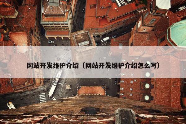 网站开发维护介绍（网站开发维护介绍怎么写）