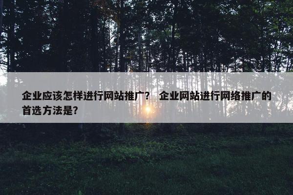 企业应该怎样进行网站推广？ 企业网站进行网络推广的首选方法是？