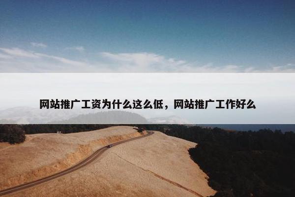 网站推广工资为什么这么低，网站推广工作好么
