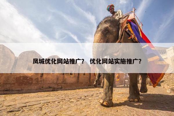 凤城优化网站推广？ 优化网站实施推广？