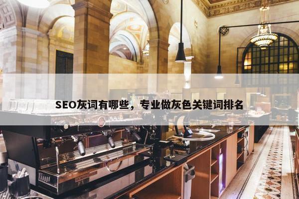 SEO灰词有哪些，专业做灰色关键词排名