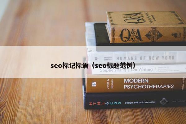 seo标记标语（seo标题范例）