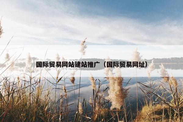 国际贸易网站建站推广（国际贸易网址）