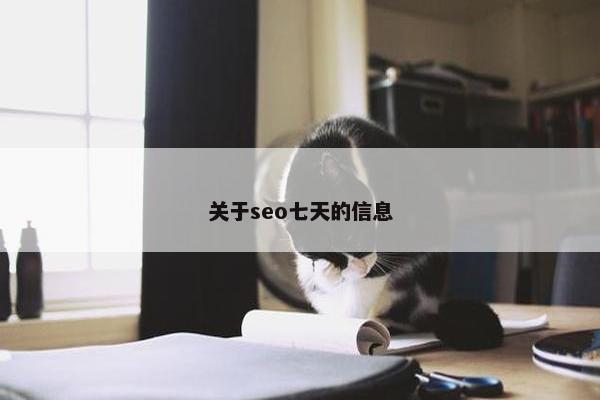 关于seo七天的信息