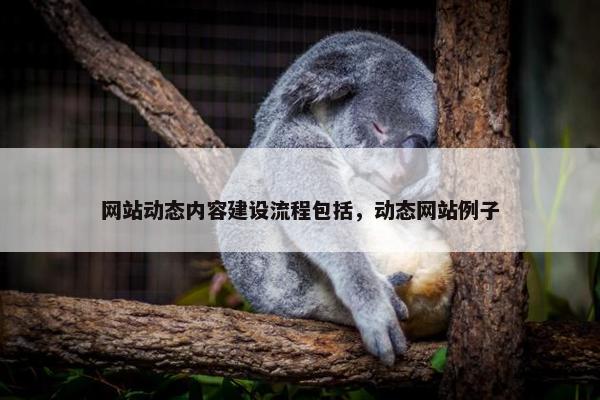 网站动态内容建设流程包括，动态网站例子