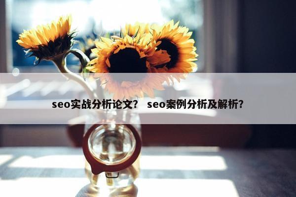 seo实战分析论文？ seo案例分析及解析？