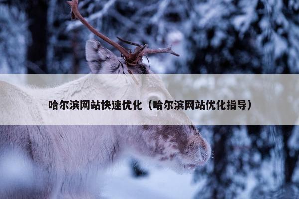 哈尔滨网站快速优化（哈尔滨网站优化指导）