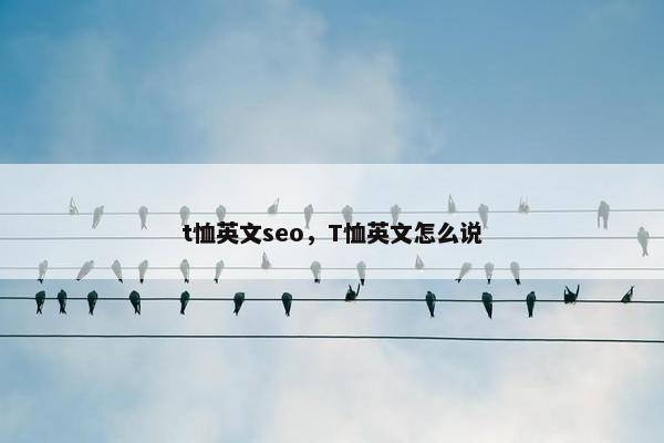 t恤英文seo，T恤英文怎么说