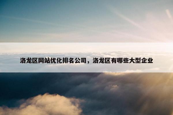 洛龙区网站优化排名公司，洛龙区有哪些大型企业