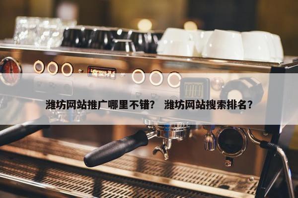 潍坊网站推广哪里不错？ 潍坊网站搜索排名？