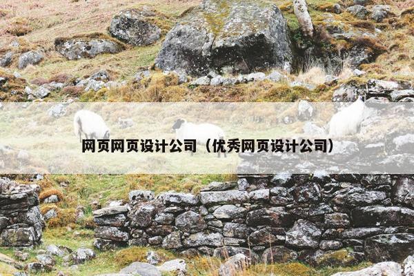 网页网页设计公司（优秀网页设计公司）