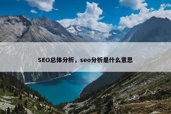 SEO总体分析，seo分析是什么意思