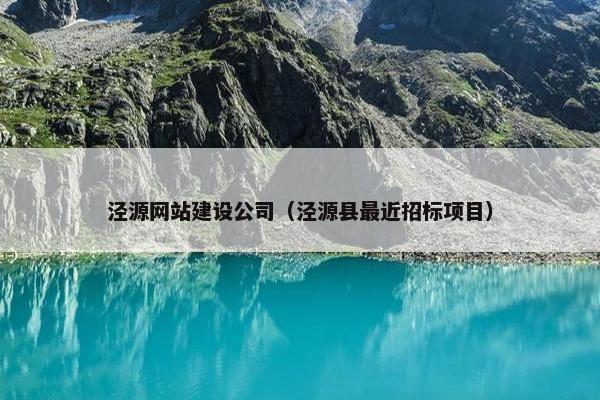 泾源网站建设公司（泾源县最近招标项目）