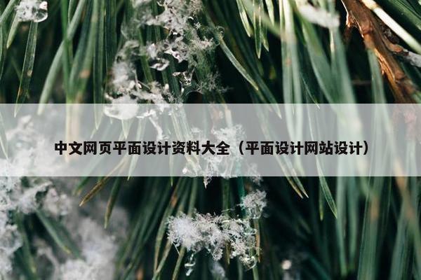 中文网页平面设计资料大全（平面设计网站设计）