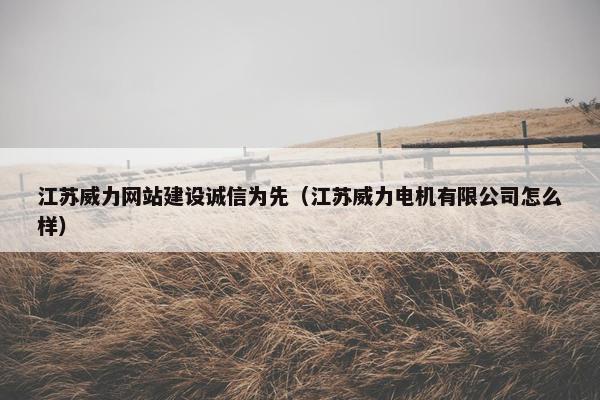 江苏威力网站建设诚信为先（江苏威力电机有限公司怎么样）