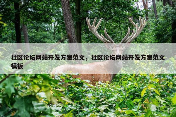 社区论坛网站开发方案范文，社区论坛网站开发方案范文模板
