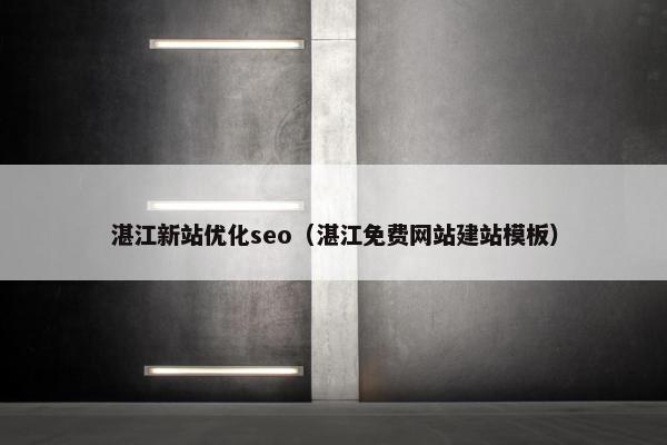 湛江新站优化seo（湛江免费网站建站模板）