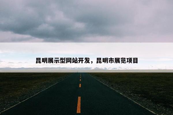 昆明展示型网站开发，昆明市展览项目