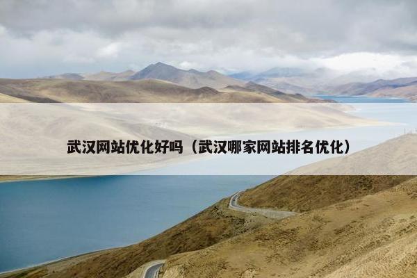 武汉网站优化好吗（武汉哪家网站排名优化）