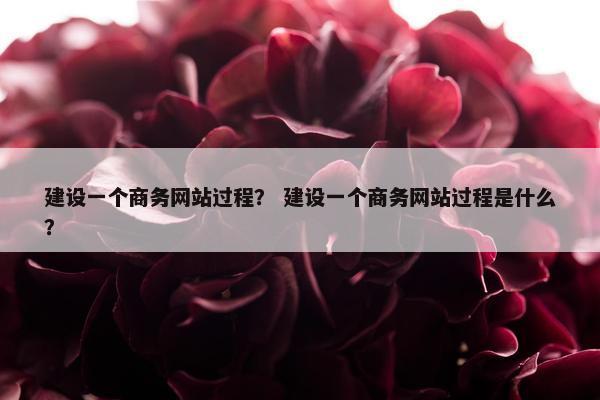 建设一个商务网站过程？ 建设一个商务网站过程是什么？