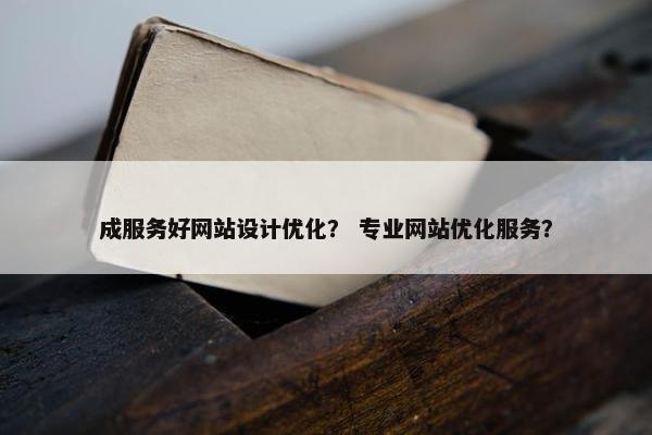 成服务好网站设计优化？ 专业网站优化服务？