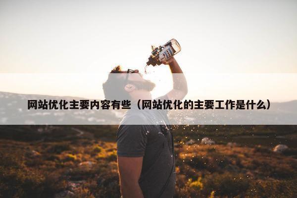 网站优化主要内容有些（网站优化的主要工作是什么）