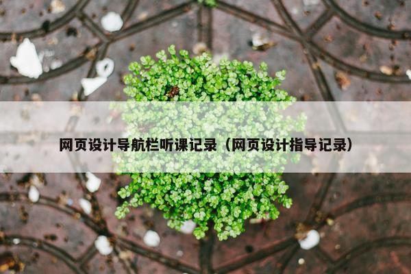 网页设计导航栏听课记录（网页设计指导记录）