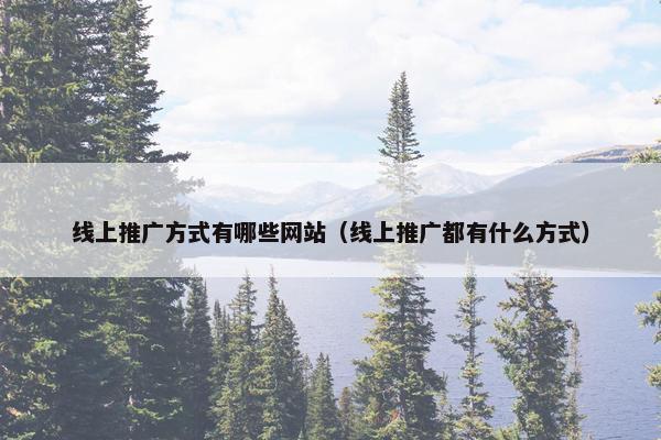 线上推广方式有哪些网站（线上推广都有什么方式）