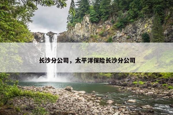 长沙分公司，太平洋保险长沙分公司