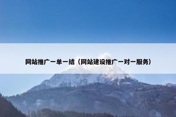 网站推广一单一结（网站建设推广一对一服务）