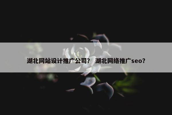 湖北网站设计推广公司？ 湖北网络推广seo？