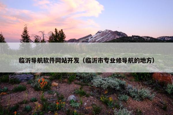 临沂导航软件网站开发（临沂市专业修导航的地方）
