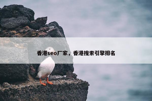 香港seo厂家，香港搜索引擎排名