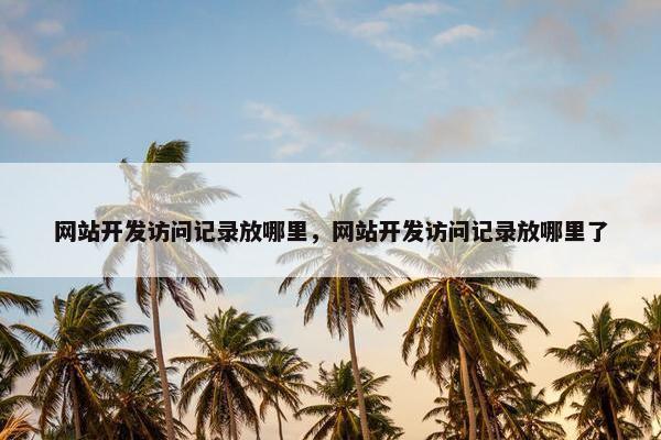 网站开发访问记录放哪里，网站开发访问记录放哪里了