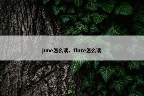 june怎么读，flute怎么读