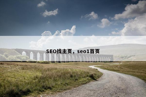 SEO找主页，seo1首页