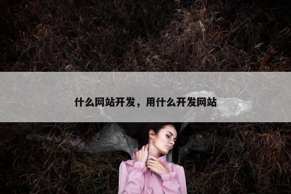 什么网站开发，用什么开发网站