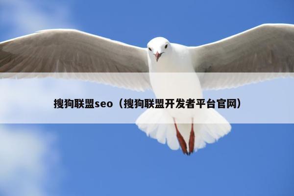 搜狗联盟seo（搜狗联盟开发者平台官网）