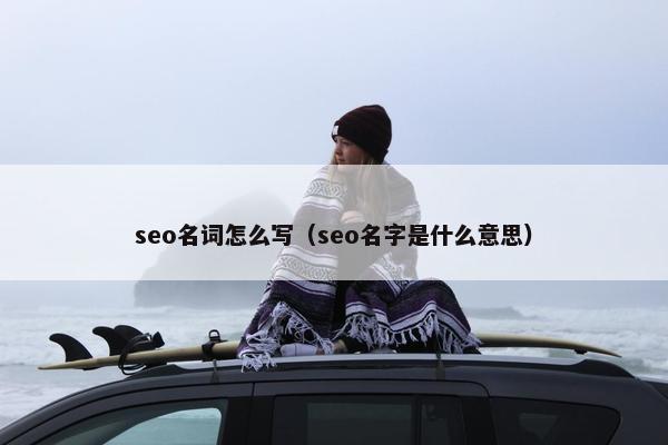 seo名词怎么写（seo名字是什么意思）