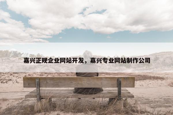 嘉兴正规企业网站开发，嘉兴专业网站制作公司