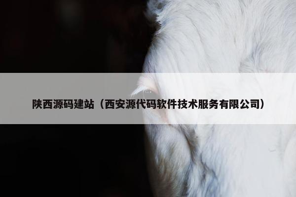 陕西源码建站（西安源代码软件技术服务有限公司）
