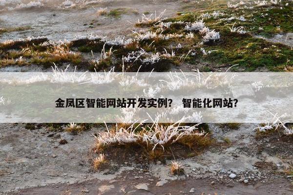 金凤区智能网站开发实例？ 智能化网站？