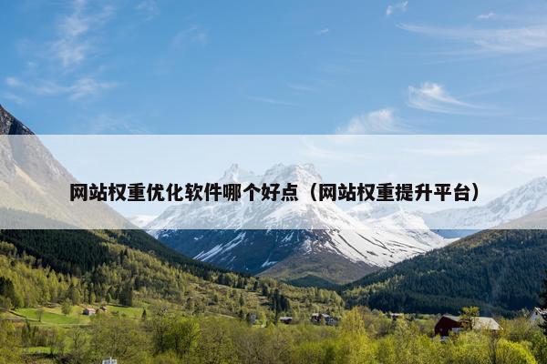 网站权重优化软件哪个好点（网站权重提升平台）